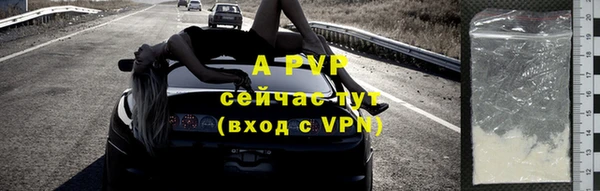 ПСИЛОЦИБИНОВЫЕ ГРИБЫ Инта