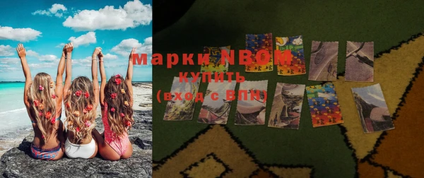 ПСИЛОЦИБИНОВЫЕ ГРИБЫ Инта