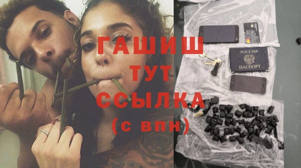 ПСИЛОЦИБИНОВЫЕ ГРИБЫ Инта