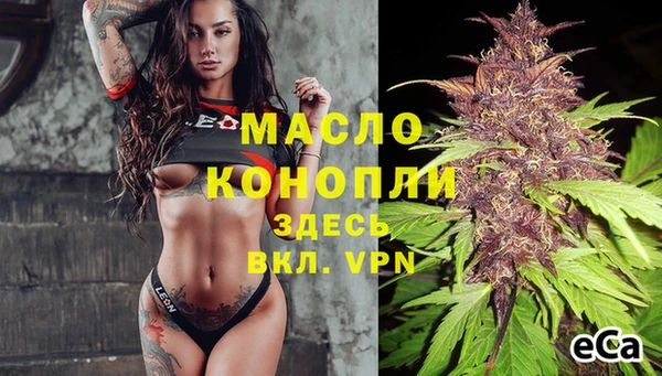 ПСИЛОЦИБИНОВЫЕ ГРИБЫ Инта