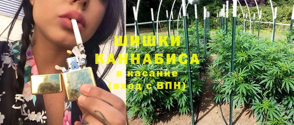 ПСИЛОЦИБИНОВЫЕ ГРИБЫ Инта