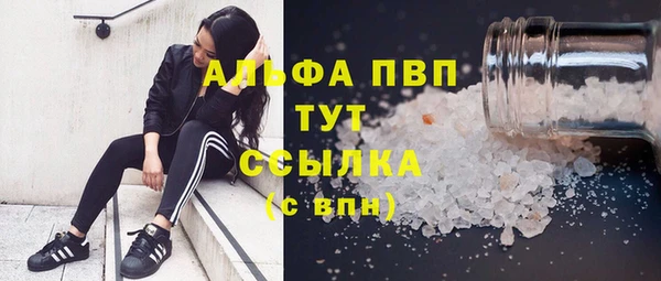 ПСИЛОЦИБИНОВЫЕ ГРИБЫ Инта