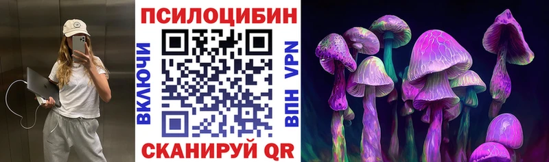 Купить где  Лакинск  Галлюциногенные грибы Psilocybine cubensis 